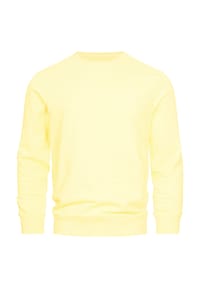 INDICODE - Sweatshirt Holt - Abyss