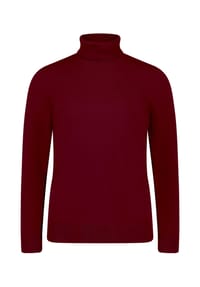 BETTY BARCLAY - Rollkragenpullover langarm - beige