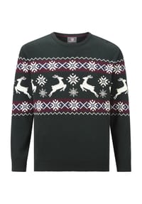 JAN VANDERSTORM - Pullover TORE - grau