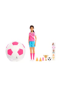 Barbie - Barbie Karriere-Team Roll&Fuss - BUNT