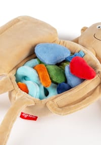 Bild 7