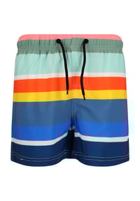 CRUZ - Badeshorts Toby mit sommerlichem und relaxtem Look - Print 3621 Green Leaf