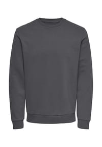 ONLY & SONS - Sweatshirt Ceres - Beige