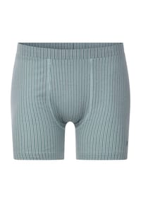 BABISTA - Retropant CORLANDO - grau