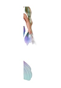 BABY born® - Spielpuppe "Little Sister Mermaid" - BUNT