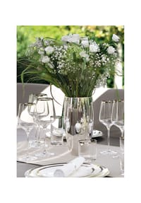 Fink Living Vase AFRICA - AFRICA - silberfarben