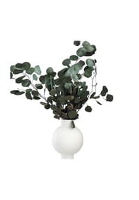LYKKE & YOU - Eukalyptus Popolus - der Runde - Grün