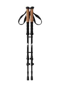 WHISTLER - Nordic Walking-Stöcke Delmarva mit ergonomischen Korkgriffen - 