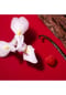 GIORGIO ARMANI SI Sì Passione Red Bloom Bild 9