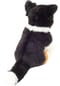 HERMANN Teddy COLLECTION® Plüschtier "Border Collie, sitzend", 30cm Bild 4