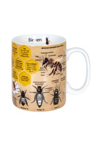 KÖNITZ - Kaffeebecher "Wissensbecher Biene", informativ, Porzellan - mehrfarbig