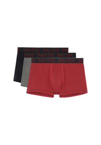 HOM Boxer Archie no.2 | GALERIA