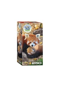 eurographics - Puzzle Rote Pandas, Pandababy, 250 Teile, 33 x 48 cm - 