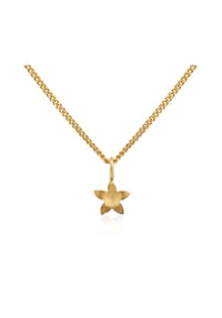 Orolino - Halskette 585/- Gold - gelb