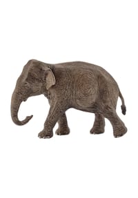 schleich® Wild Life - Asiatische Elefantenkuh 14753 Bild 1