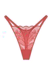 Triumph - Crazy Stupid Love Tanga, Spitze, für Damen - 0004 BLACK