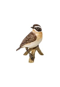 Goebel Figur Vogel des Jahres 2023 Braunkehlchen - Vogel des Jahres - Bunt