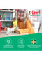 Pippi™ LONGSTOCKING Spielzeug Pippi Langstrumpf Bild 6