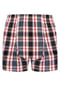 Sugar Pine Boxer Mix Karos Bild 9