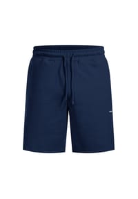 SMILODOX - Shorts Edin - Grau Melange