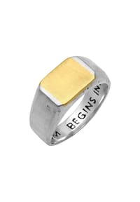 HAZE & GLORY - Ring Siegelring - Wisdom 925 Sterling Silber - Silber