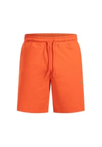 SMILODOX - Shorts Edin - Grau Melange