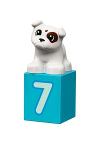 Bild 11