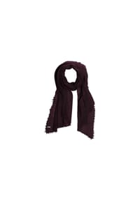 SEEBERGER - Cashmere Feinstrick Schal 200x80cm 19288-0 - anthrazit