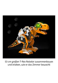 Bild 9