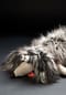 sigikid® Kuscheltier Duchess of Hampershire, BeastsTown ,  für Erwachsene und Kinder Bild 10