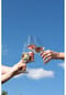 SCHOTT ZWIESEL Sektglas, 4er-Set MIOVINO Bild 11