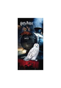 COFI - Harry Potter Strandtuch Badetuch 70×140 cm Baumwolle - Mehrfarbig 70x140 cm
