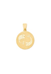 amor Fische - Motivanhänger für Damen und Herren, Unisex, Gold 375 | Fische - Gold