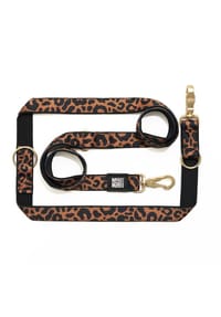 Max & Molly URBAN PETS - Multifunktionsleine - BEIGE