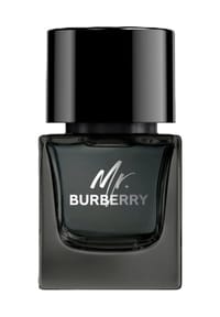 BURBERRY MR BURBERRY - Eau de Parfum - 