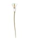 SWAROVSKI Kristallfigur "Calla Lily" Bild 1