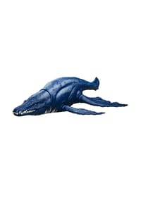 MATTEL - Spielzeug Jurassic World Wild Roar - 
