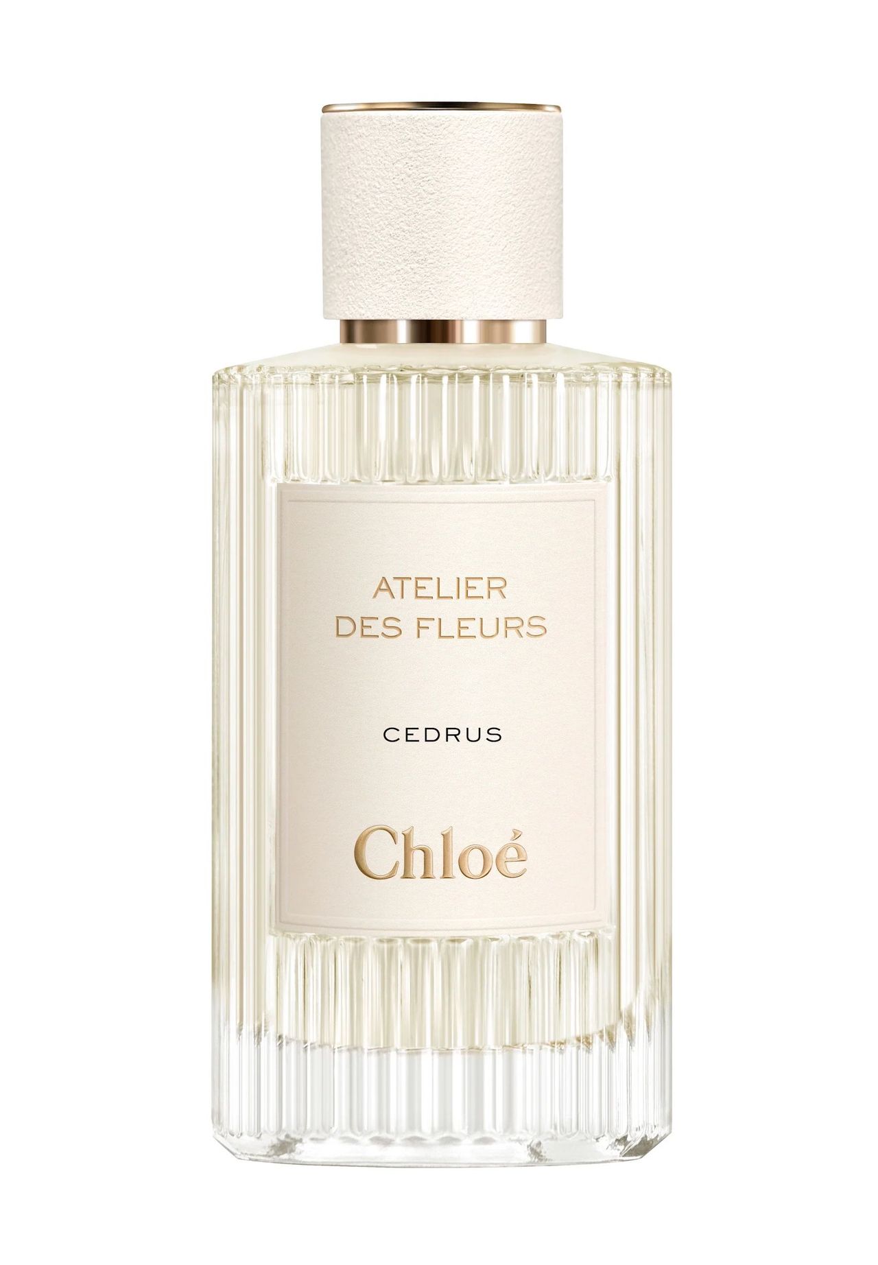 クロエChloé Atelier des Fleurs CEDRUS香水 Chloé ATELIER DES FLEURS Atelier des Fleurs Cedrus, Eau de Parfum