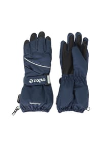 ZIGZAG - Handschuh Kempston mit komfortabler Wintersport-Ausstattung - 1001 Black