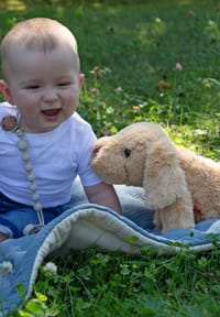 Bild 7