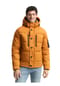 TOM TAILOR Puffer-Jacke, Stehkragen, für Herren Bild 14