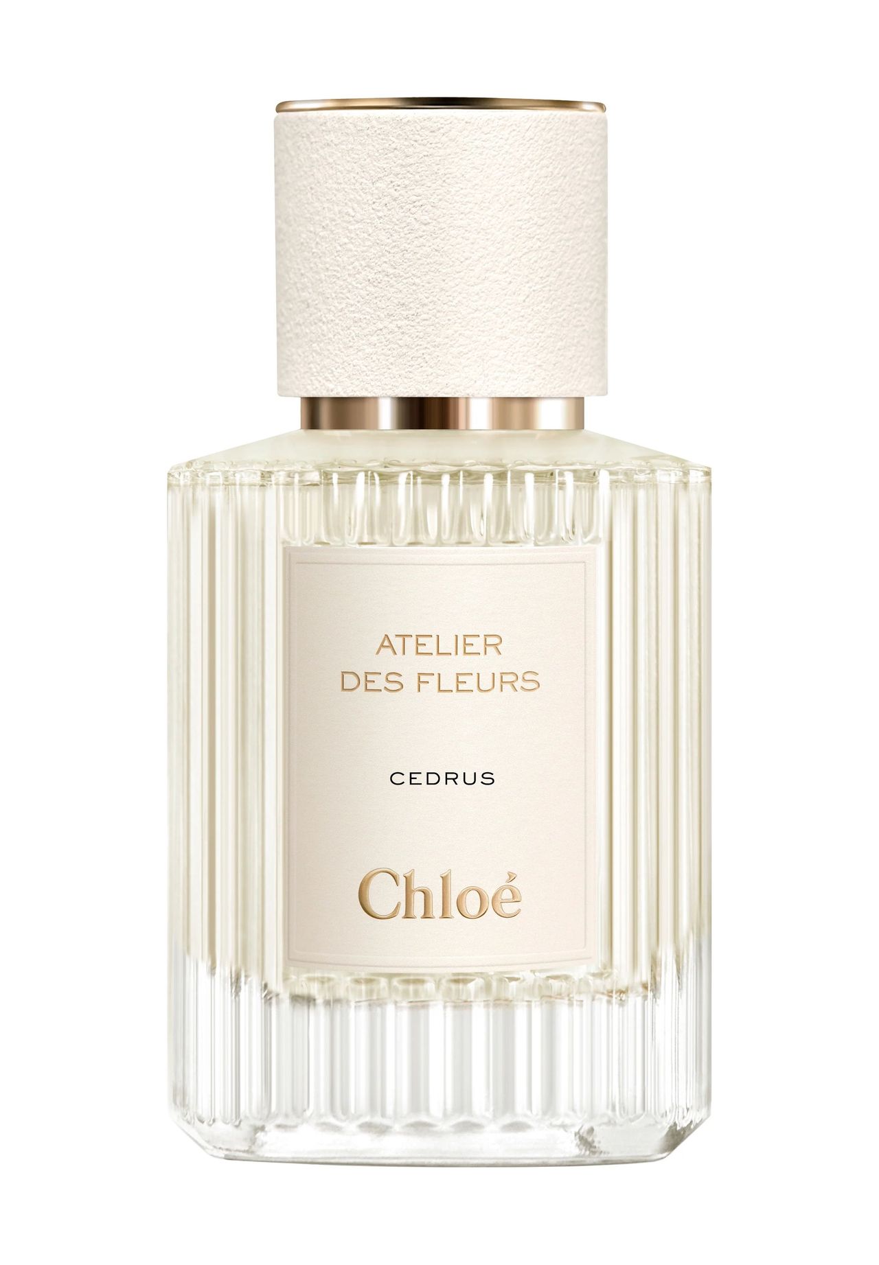 Chloé Cedrus Eau de Parfum - Image 4
