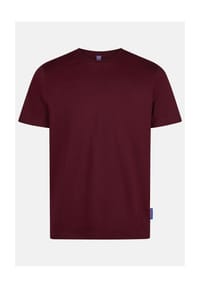 salzhaut - Shirt DIEK - Anthra
