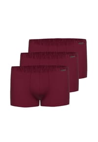 AMMANN - Retro Short / Pant 3er Pack Cotton & More - Bordeaux