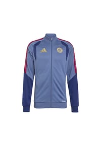 adidas - Trainingsanzug FC Bayern München, Stehkragen - PRLOIN/NINDIG/NIND