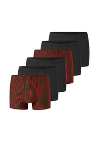SCHIESSER - Retro Short / Pant 6er Pack 95/5 Essentials - Cotton - Blau / grün