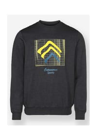Witt - Sweatshirt - graphit-meliert