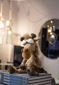 Bild 8