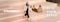 blur image