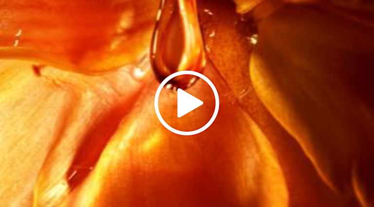 L’Or de J‘adore
